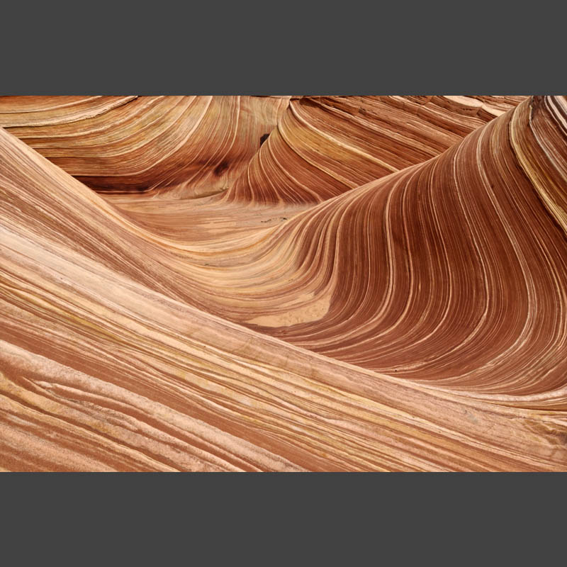 Coyote Buttes 004